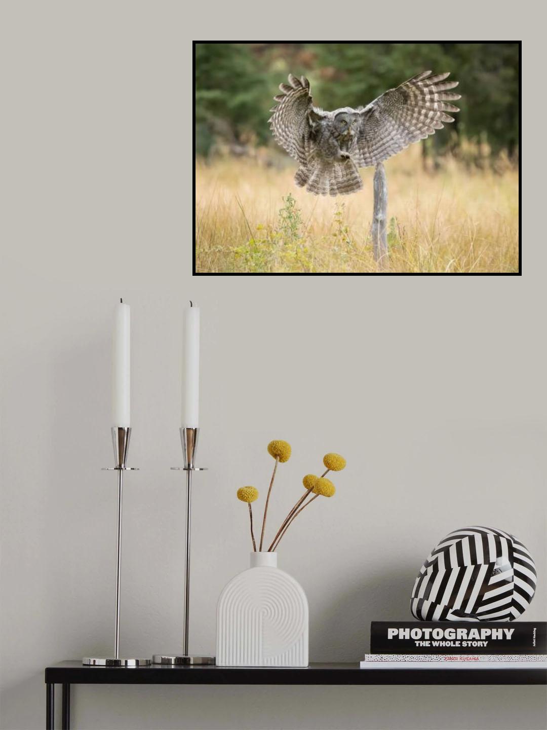 Landing Poster och Canvastavla