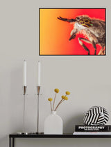 The Horse Fly Poster och Canvastavla