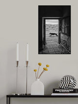 Hideout Poster och Canvastavla