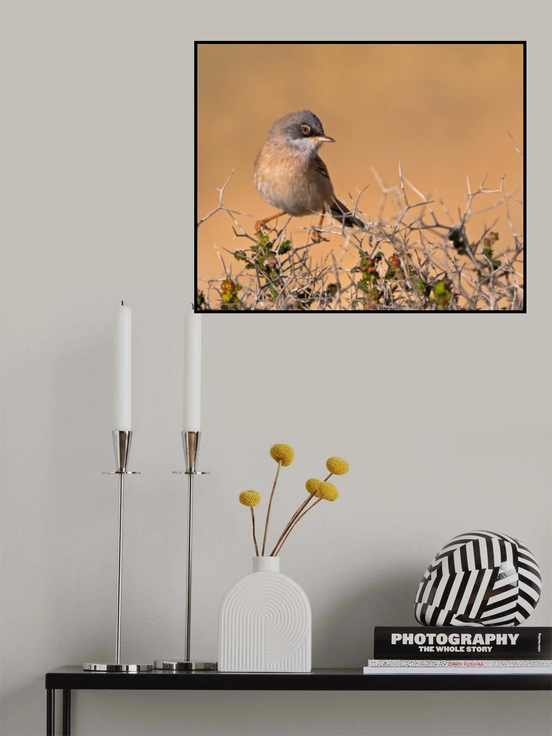 A BEAUTY &amp; THORNS Poster och Canvastavla