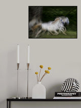 gallop for two Poster och Canvastavla
