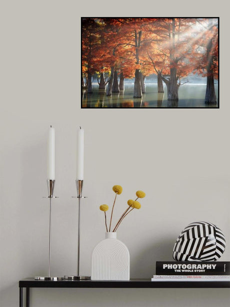 Sunny Cypress Trees Poster och Canvastavla
