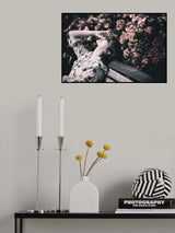 Rose Garden Poster och Canvastavla