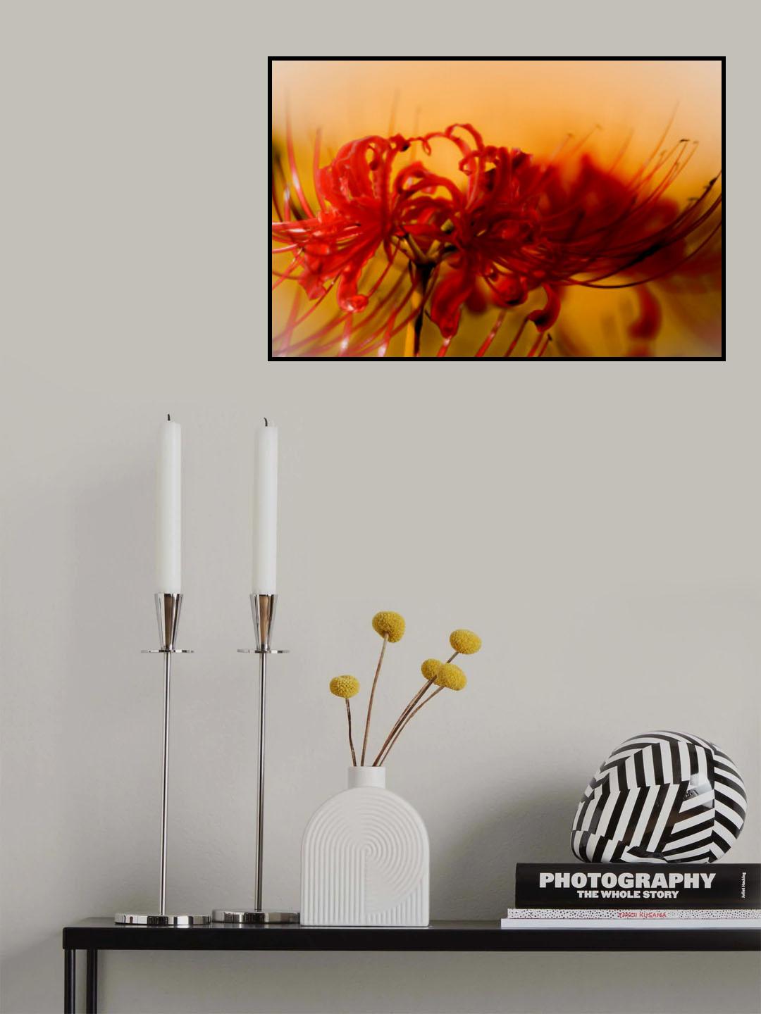 Lycoris Poster och Canvastavla