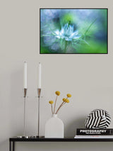 Magic blue.... Poster och Canvastavla