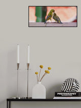 Papusa Poster och Canvastavla
