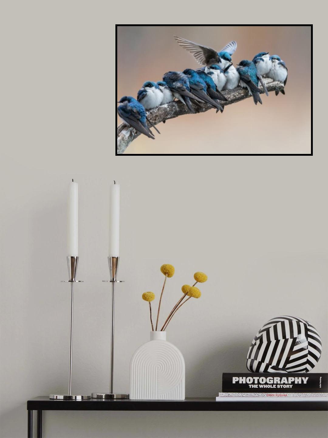 No room? No problem. I will make myself some room. Poster och Canvastavla