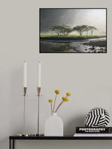 Poster och Canvastavla