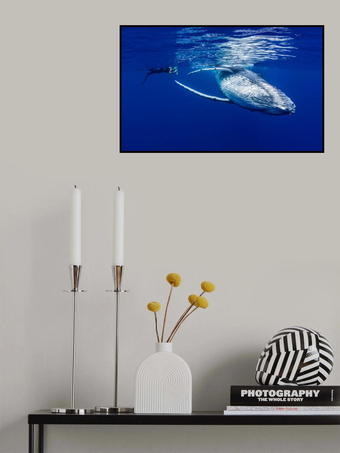 The Lady &amp; The Humpback Poster och Canvastavla
