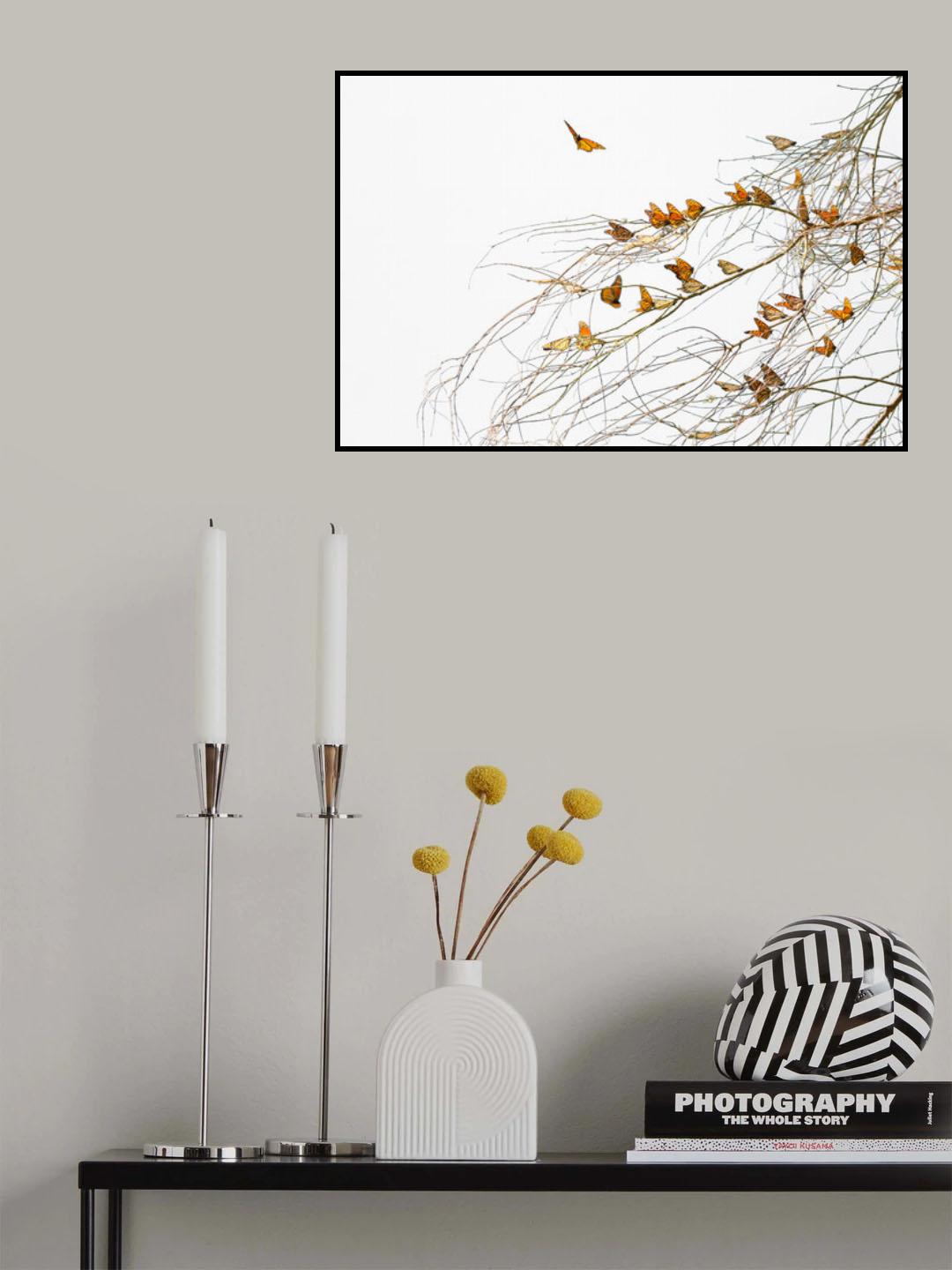 Winter Monarchies Poster och Canvastavla