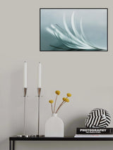 browse Poster och Canvastavla
