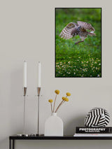 Landing Poster och Canvastavla