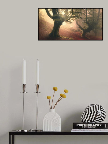 Fangorn forest Poster och Canvastavla