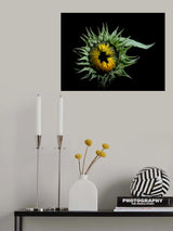 Watching You ... Poster och Canvastavla