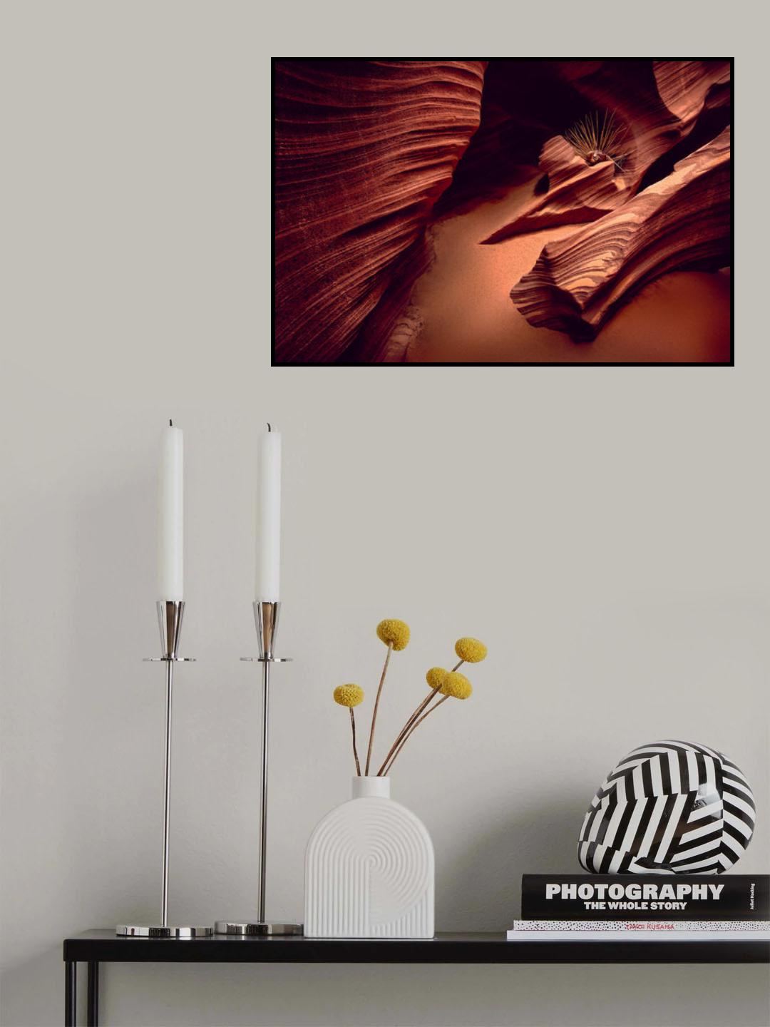 Rattlesnake Canyon Poster och Canvastavla