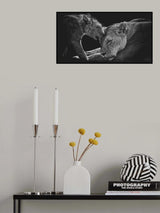 Lion family Poster och Canvastavla