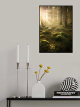 In the woods Poster och Canvastavla