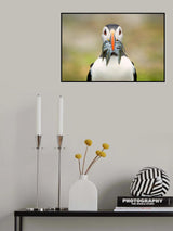 The Big Catch Poster och Canvastavla