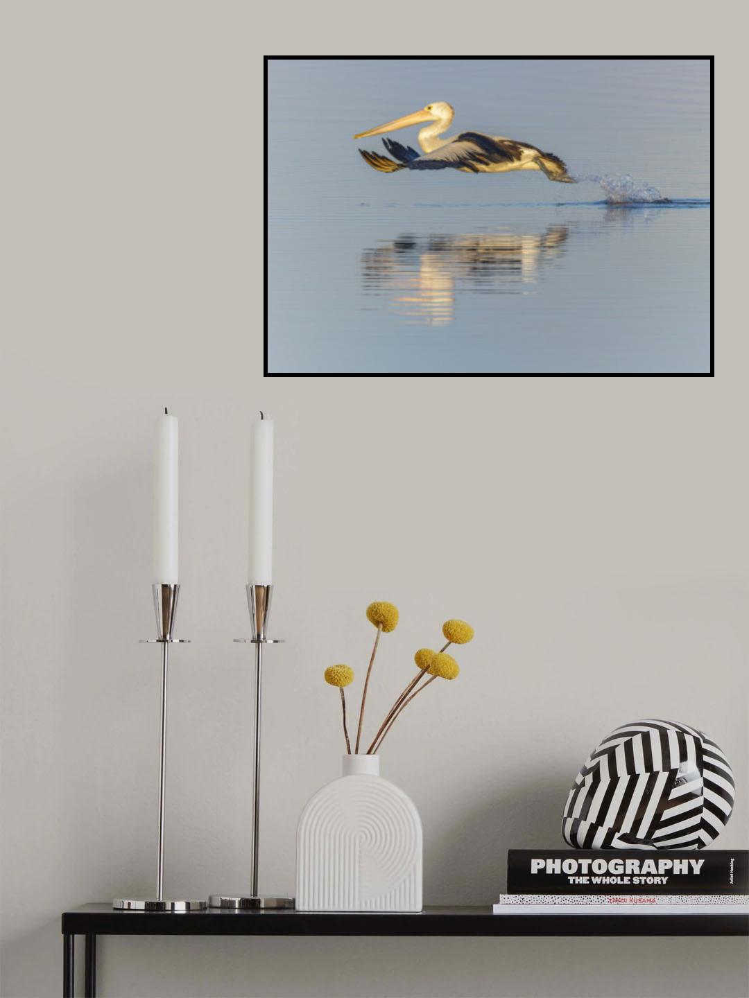Take-off from the water Poster och Canvastavla