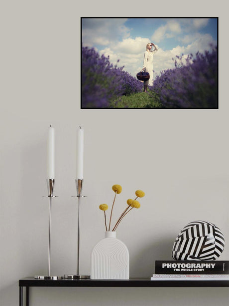 Lavender field Poster och Canvastavla