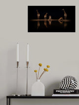 Four plus one... Poster och Canvastavla