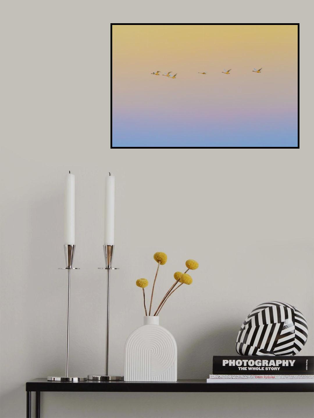 Sunset flying Poster och Canvastavla