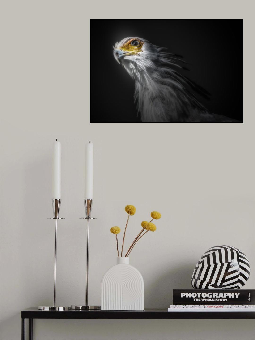 secretary bird Poster och Canvastavla