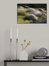 Fly Poster och Canvastavla