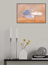 Embrace the autumn sunshine(2) Poster och Canvastavla