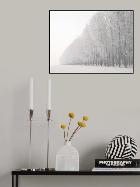 Winter Poster och Canvastavla