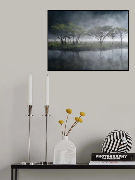 Trees in the Mist Poster och Canvastavla