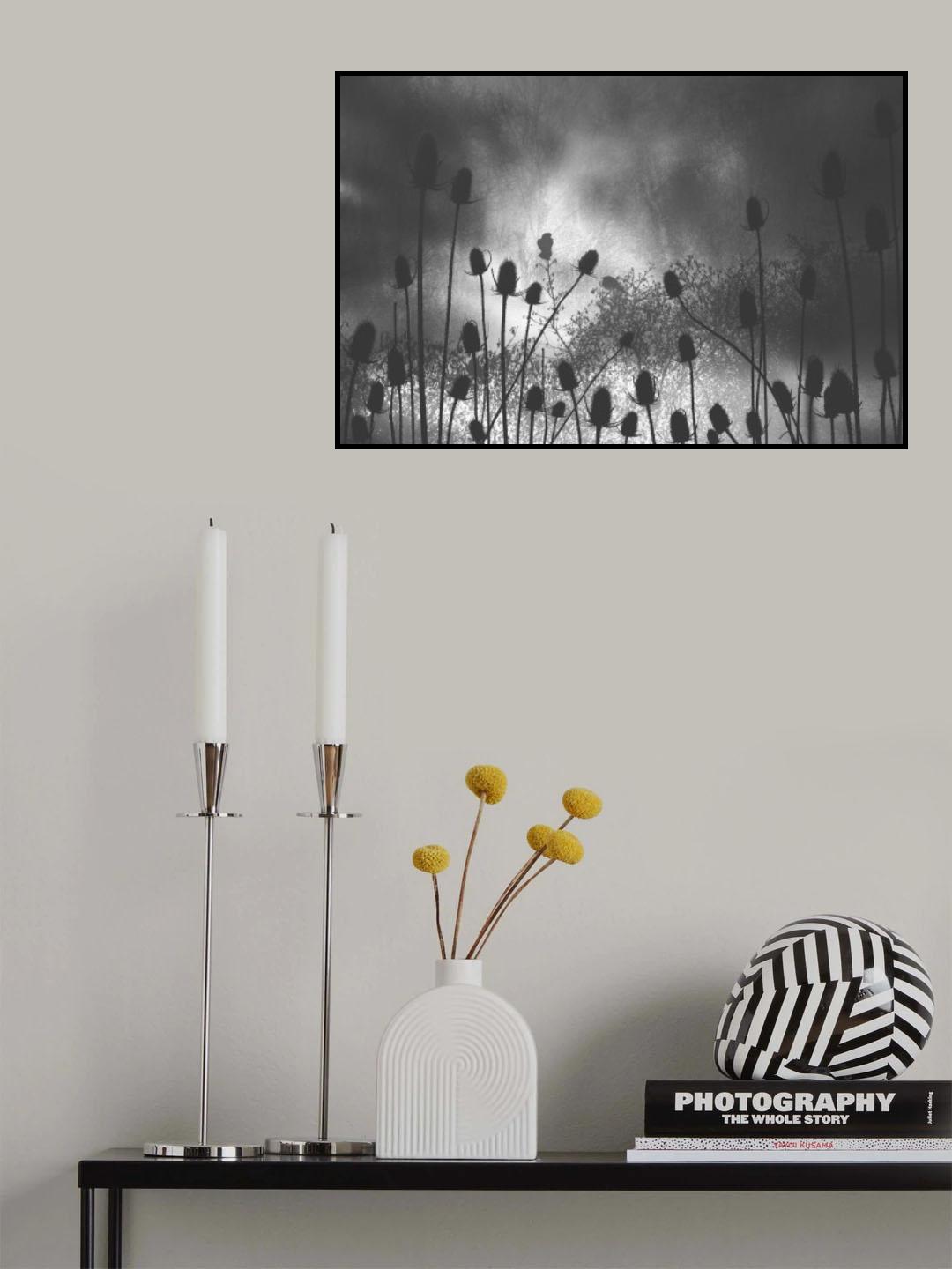 Thistle Finch Poster och Canvastavla