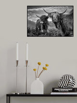 Friends Poster och Canvastavla