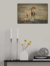The sentry Poster och Canvastavla