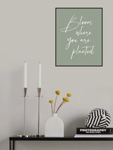 Bloom Poster och Canvastavla