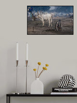 Woman at a mundari catlle camp - South Sudan Poster och Canvastavla