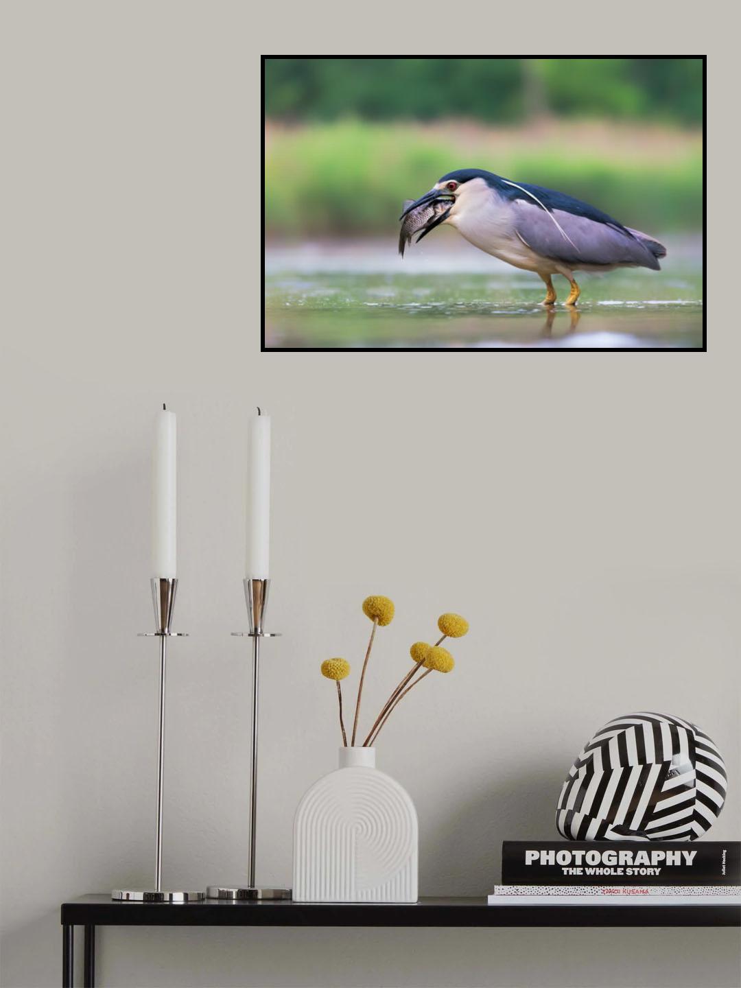 Swallowing Poster och Canvastavla