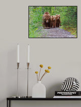 We have the right of way Poster och Canvastavla