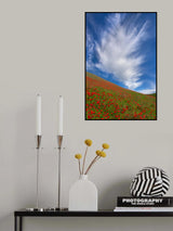 Red Poppies in Tianshan Poster och Canvastavla