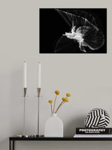 Come...let dance Poster och Canvastavla