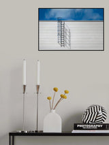 False appearances Poster och Canvastavla