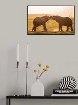 Fight at sunset Poster och Canvastavla