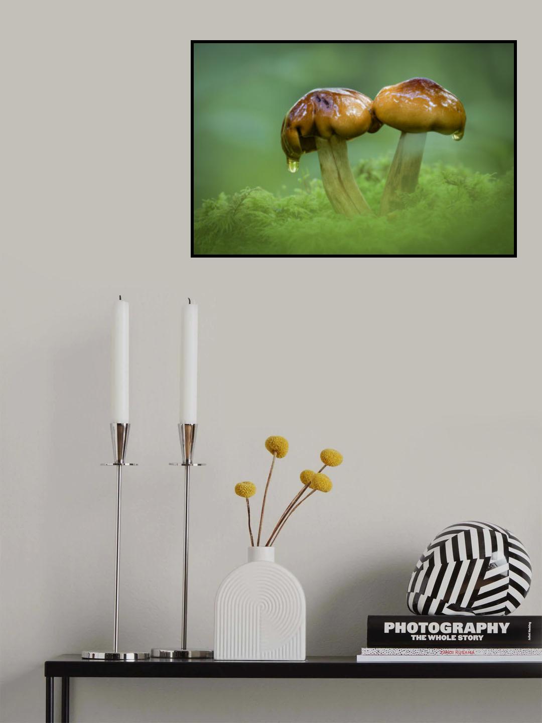Dripping slime from Mushroom Poster och Canvastavla