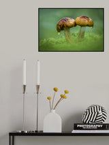 Dripping slime from Mushroom Poster och Canvastavla