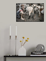 Milking my goats Poster och Canvastavla