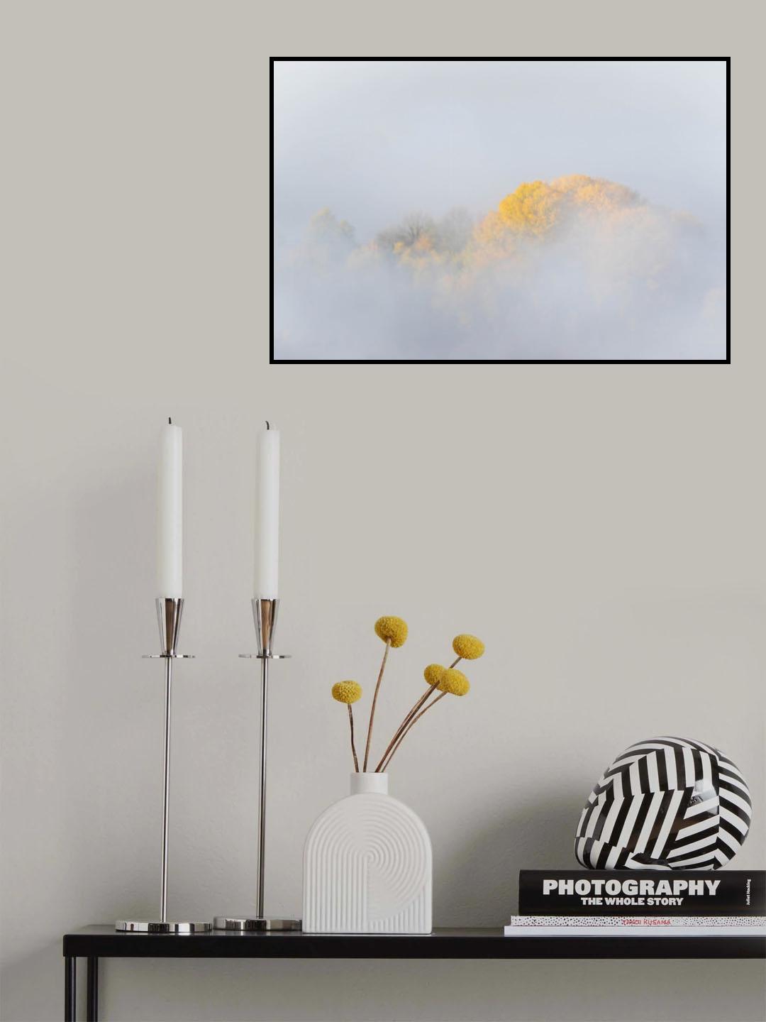 TREES IN FOG Poster och Canvastavla