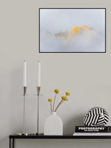 TREES IN FOG Poster och Canvastavla