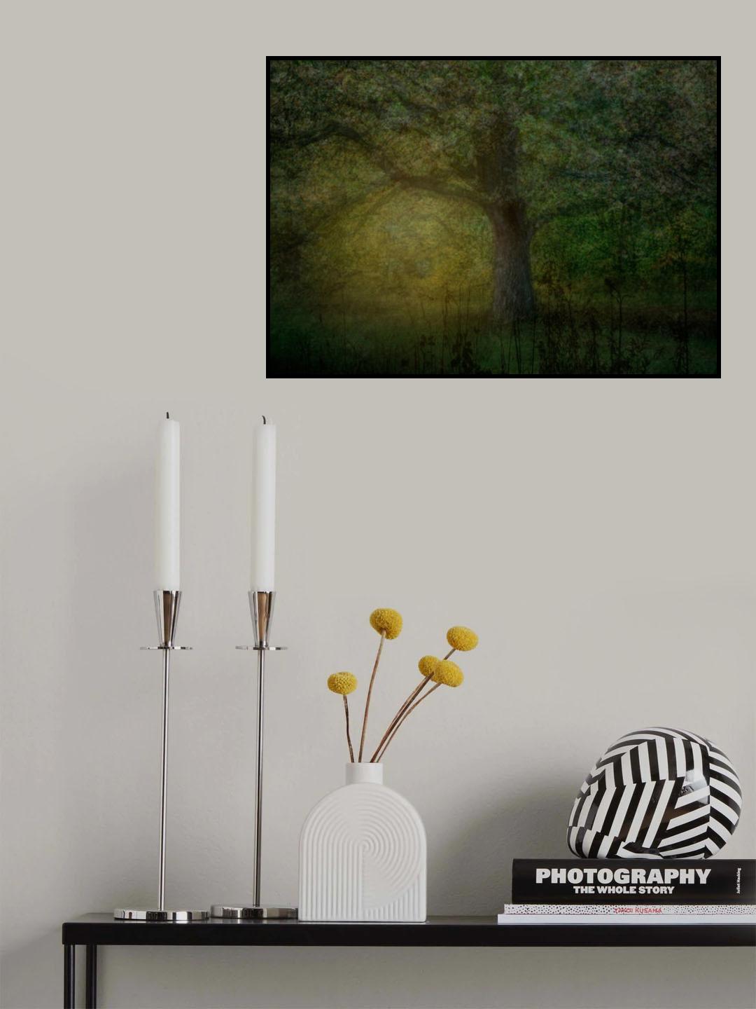 The glade Poster och Canvastavla