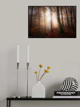 Autumn morning Poster och Canvastavla