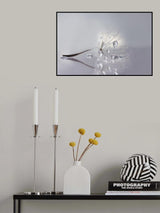 Silver Poster och Canvastavla